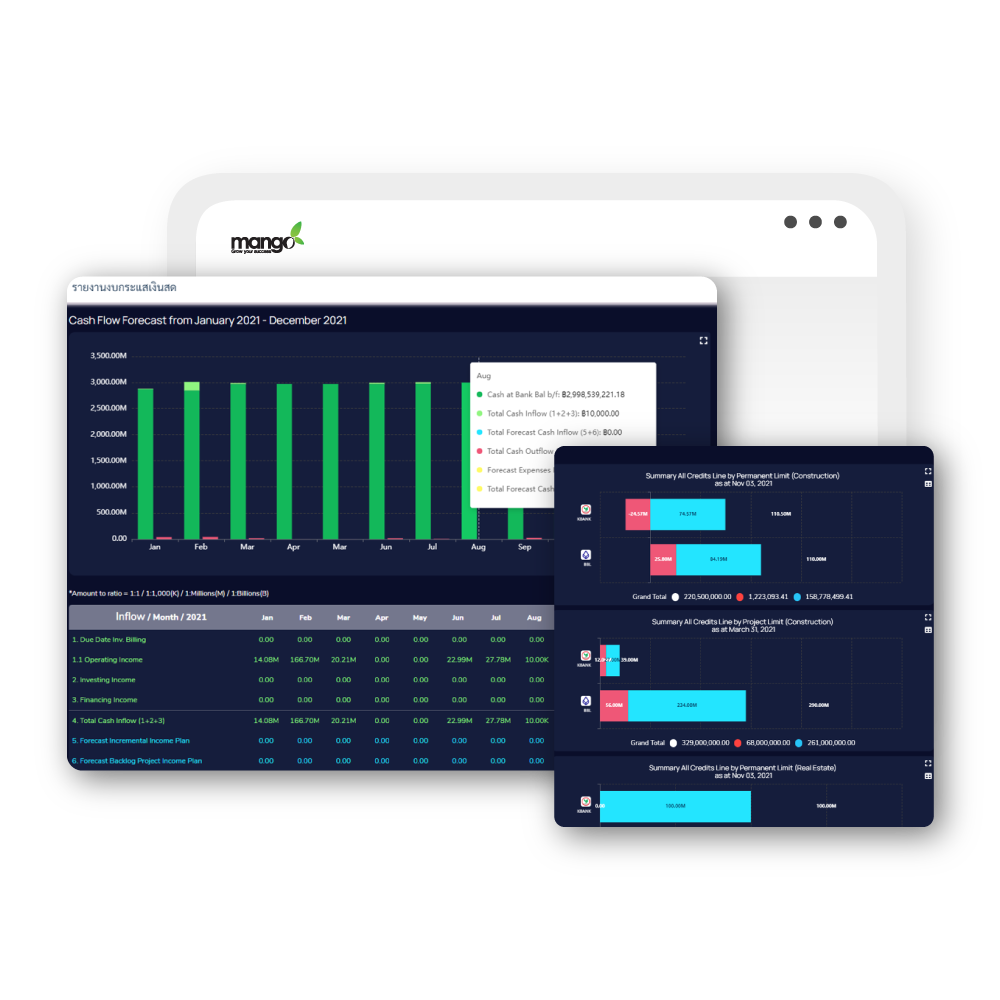 Content 1_Pic รายงานกระแสเงินสดและวงเงินสินเชื่อ